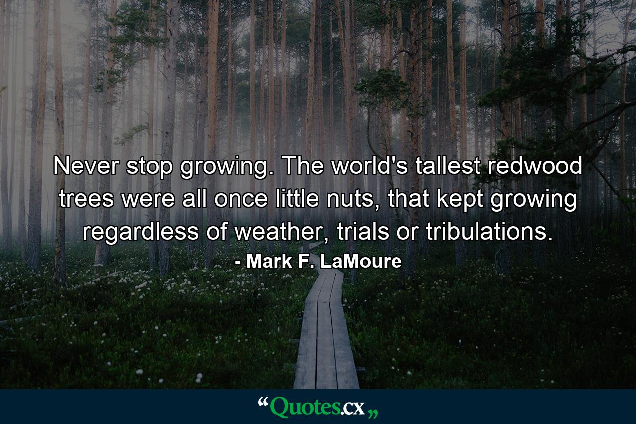 Never stop growing. The world's tallest redwood trees were all once little nuts, that kept growing regardless of weather, trials or tribulations. - Quote by Mark F. LaMoure