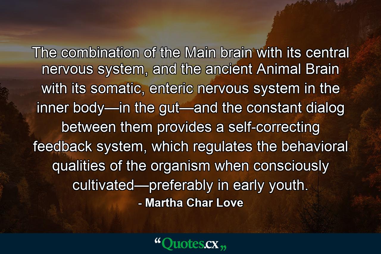 The combination of the Main brain with its central nervous system, and the ancient Animal Brain with its somatic, enteric nervous system in the inner body—in the gut—and the constant dialog between them provides a self-correcting feedback system, which regulates the behavioral qualities of the organism when consciously cultivated—preferably in early youth. - Quote by Martha Char Love