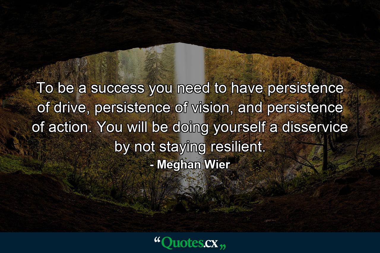 To be a success you need to have persistence of drive, persistence of vision, and persistence of action. You will be doing yourself a disservice by not staying resilient. - Quote by Meghan Wier