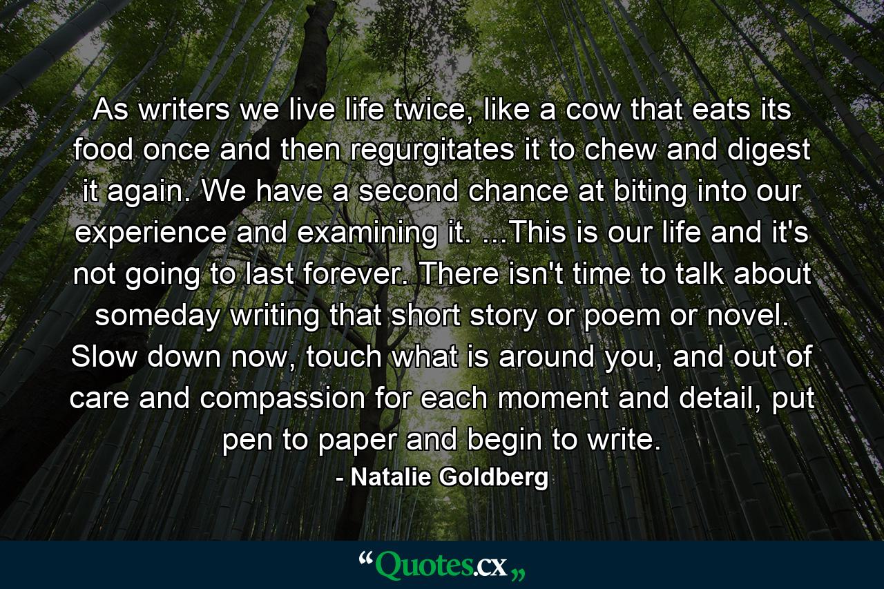 As writers we live life twice, like a cow that eats its food once and then regurgitates it to chew and digest it again. We have a second chance at biting into our experience and examining it. ...This is our life and it's not going to last forever. There isn't time to talk about someday writing that short story or poem or novel. Slow down now, touch what is around you, and out of care and compassion for each moment and detail, put pen to paper and begin to write. - Quote by Natalie Goldberg