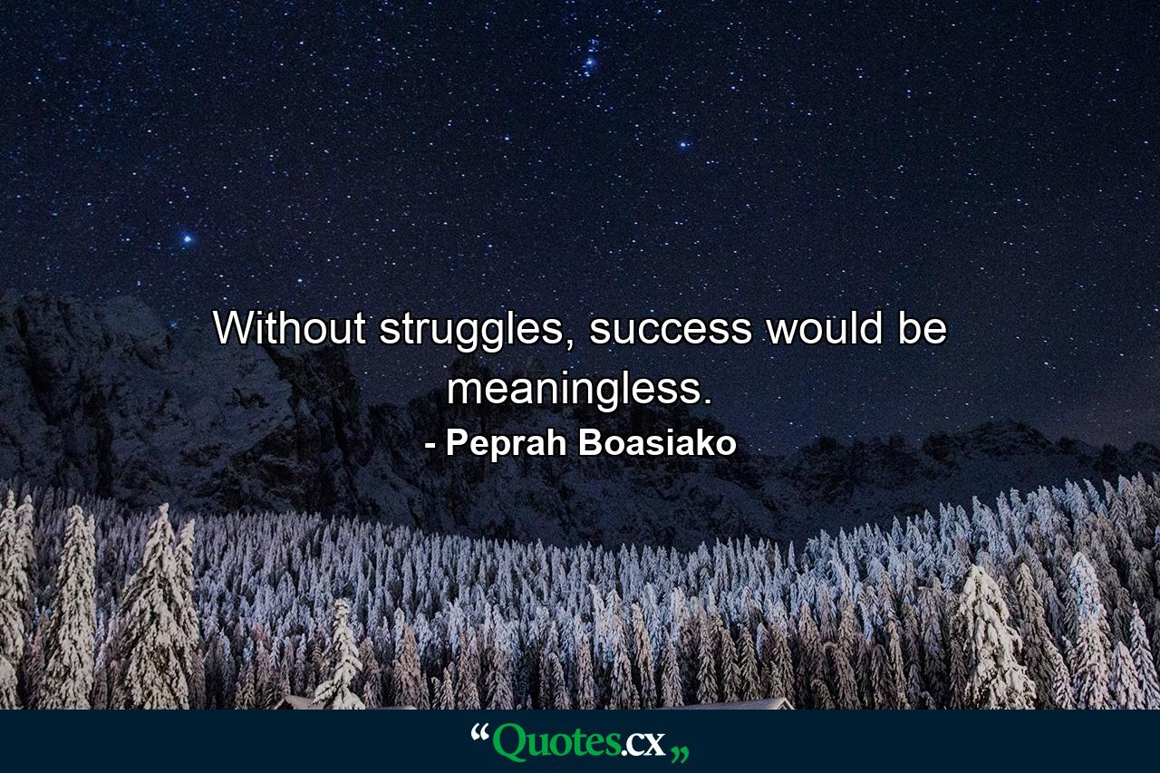 Without struggles, success would be meaningless. - Quote by Peprah Boasiako