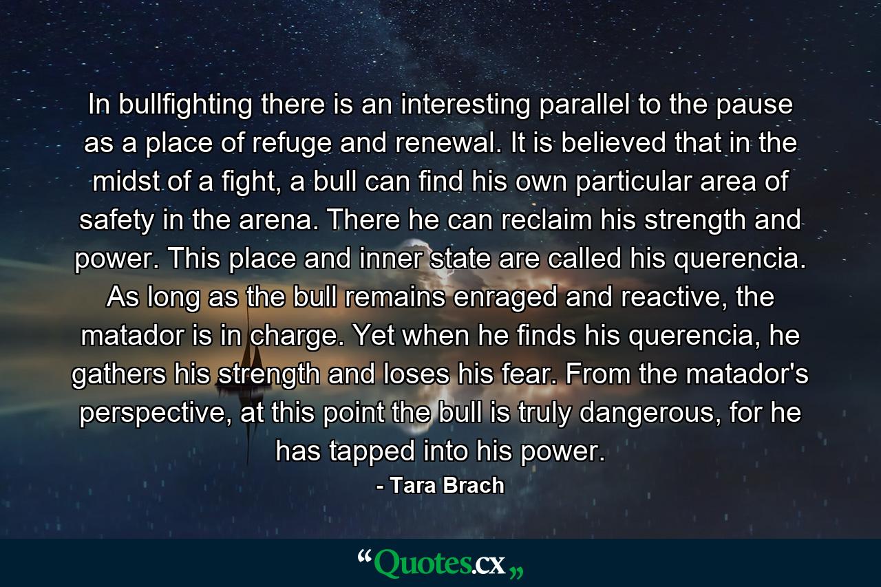 In bullfighting there is an interesting parallel to the pause as a place of refuge and renewal. It is believed that in the midst of a fight, a bull can find his own particular area of safety in the arena. There he can reclaim his strength and power. This place and inner state are called his querencia. As long as the bull remains enraged and reactive, the matador is in charge. Yet when he finds his querencia, he gathers his strength and loses his fear. From the matador's perspective, at this point the bull is truly dangerous, for he has tapped into his power. - Quote by Tara Brach