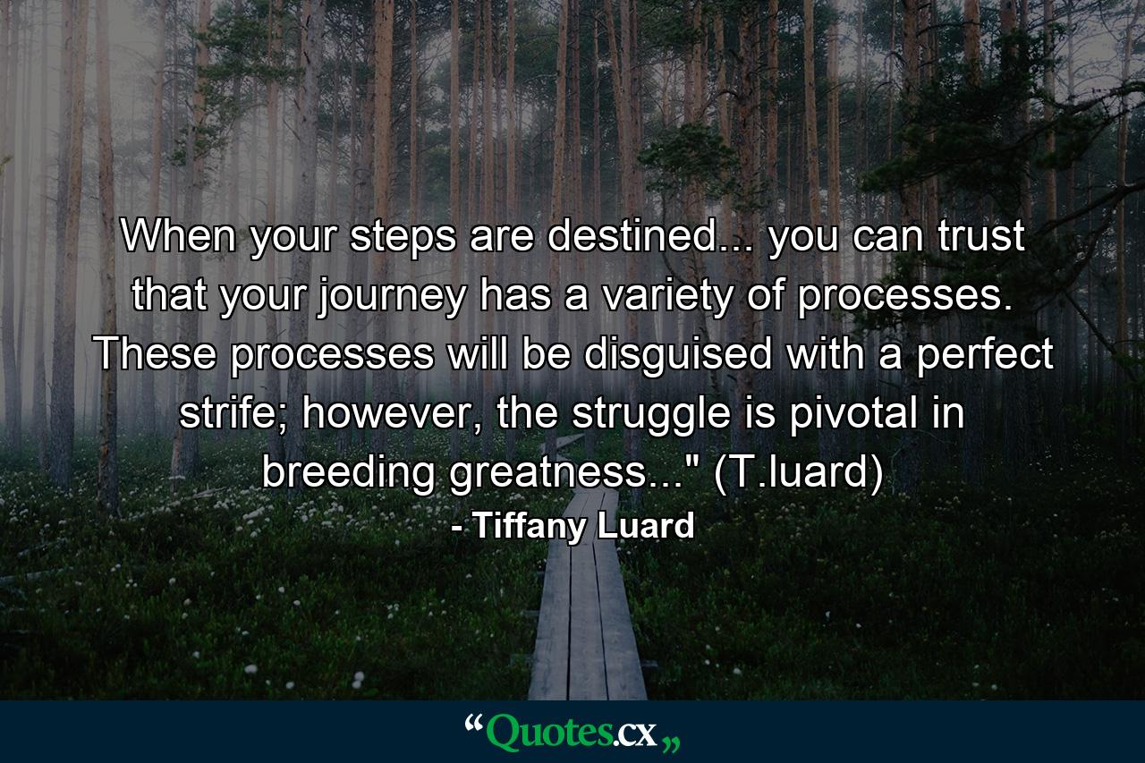 When your steps are destined... you can trust that your journey has a variety of processes. These processes will be disguised with a perfect strife; however, the struggle is pivotal in breeding greatness...