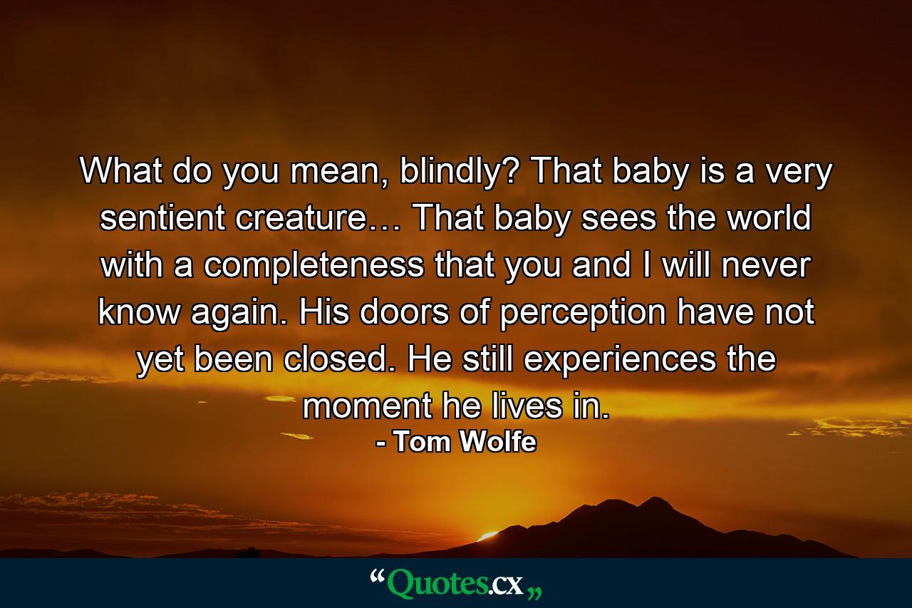 What do you mean, blindly? That baby is a very sentient creature… That baby sees the world with a completeness that you and I will never know again. His doors of perception have not yet been closed. He still experiences the moment he lives in. - Quote by Tom Wolfe