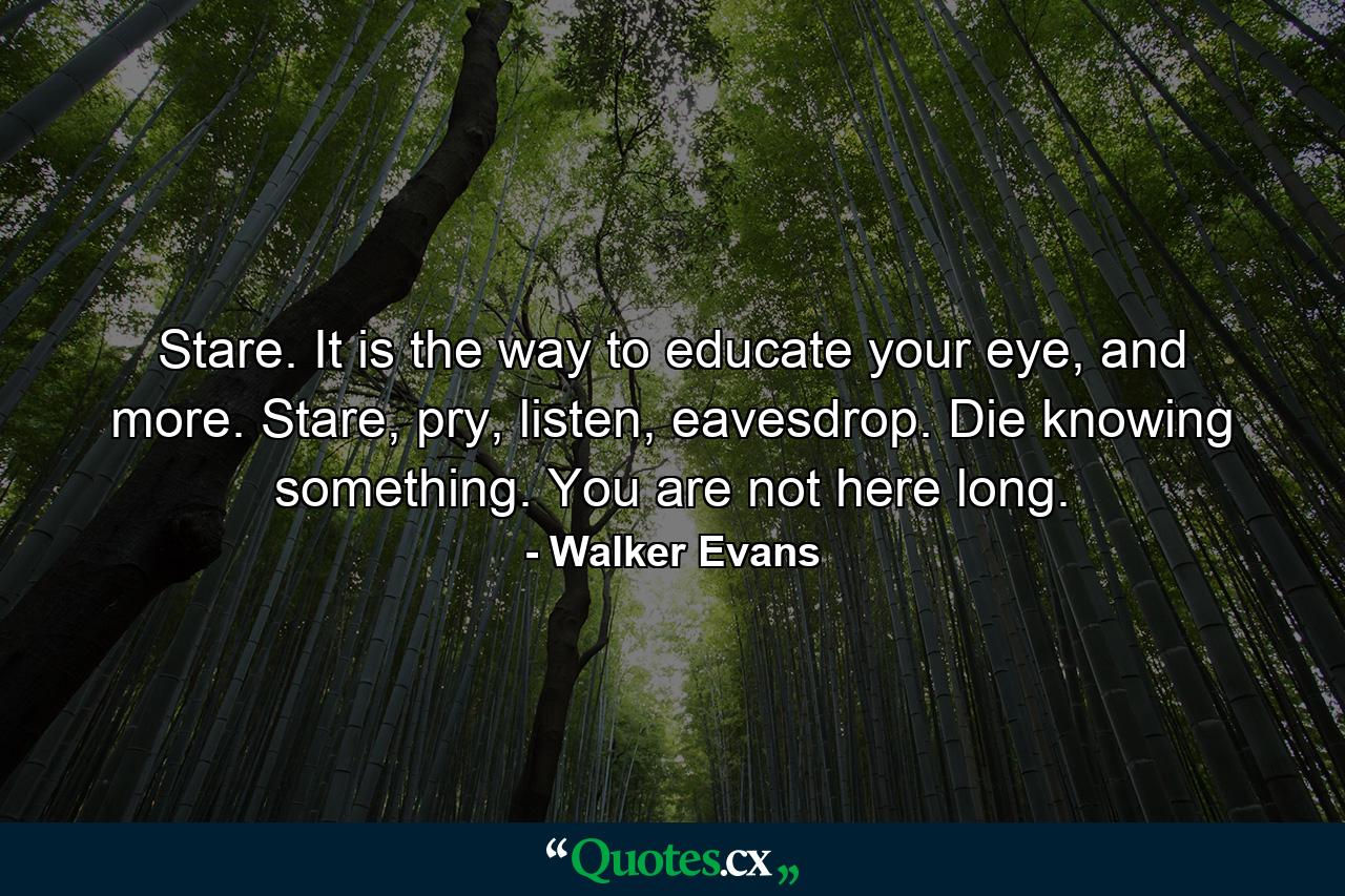 Stare. It is the way to educate your eye, and more. Stare, pry, listen, eavesdrop. Die knowing something. You are not here long. - Quote by Walker Evans