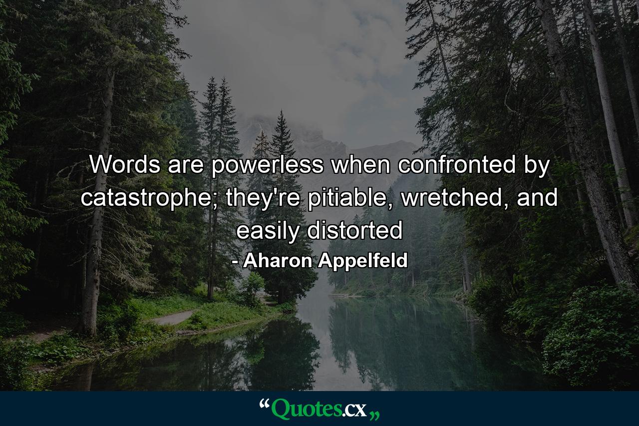 Words are powerless when confronted by catastrophe; they're pitiable, wretched, and easily distorted - Quote by Aharon Appelfeld