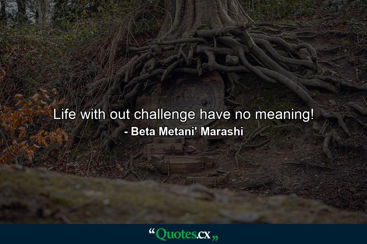 Life with out challenge have no meaning! - Quote by Beta Metani' Marashi