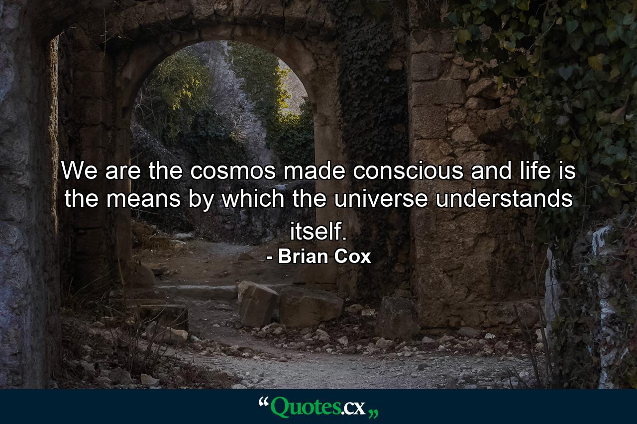 We are the cosmos made conscious and life is the means by which the universe understands itself. - Quote by Brian Cox