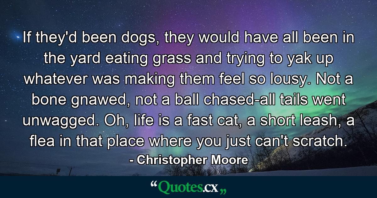 If they'd been dogs, they would have all been in the yard eating grass and trying to yak up whatever was making them feel so lousy. Not a bone gnawed, not a ball chased-all tails went unwagged. Oh, life is a fast cat, a short leash, a flea in that place where you just can't scratch. - Quote by Christopher Moore