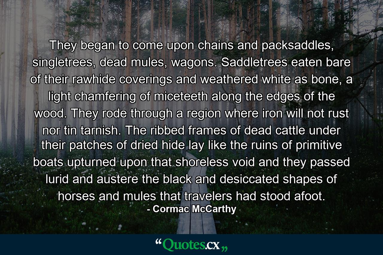 They began to come upon chains and packsaddles, singletrees, dead mules, wagons. Saddletrees eaten bare of their rawhide coverings and weathered white as bone, a light chamfering of miceteeth along the edges of the wood. They rode through a region where iron will not rust nor tin tarnish. The ribbed frames of dead cattle under their patches of dried hide lay like the ruins of primitive boats upturned upon that shoreless void and they passed lurid and austere the black and desiccated shapes of horses and mules that travelers had stood afoot. - Quote by Cormac McCarthy