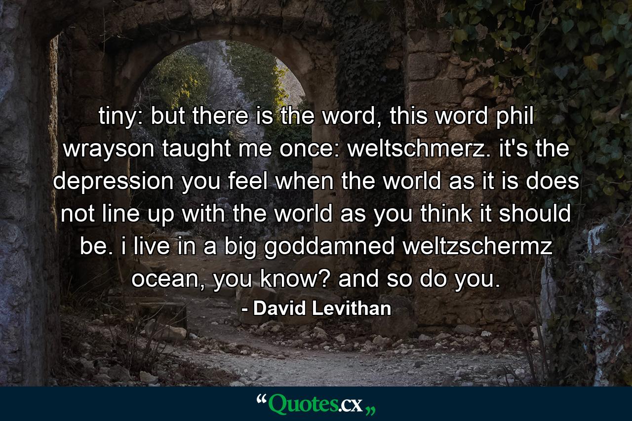 tiny: but there is the word, this word phil wrayson taught me once: weltschmerz. it's the depression you feel when the world as it is does not line up with the world as you think it should be. i live in a big goddamned weltzschermz ocean, you know? and so do you. - Quote by David Levithan