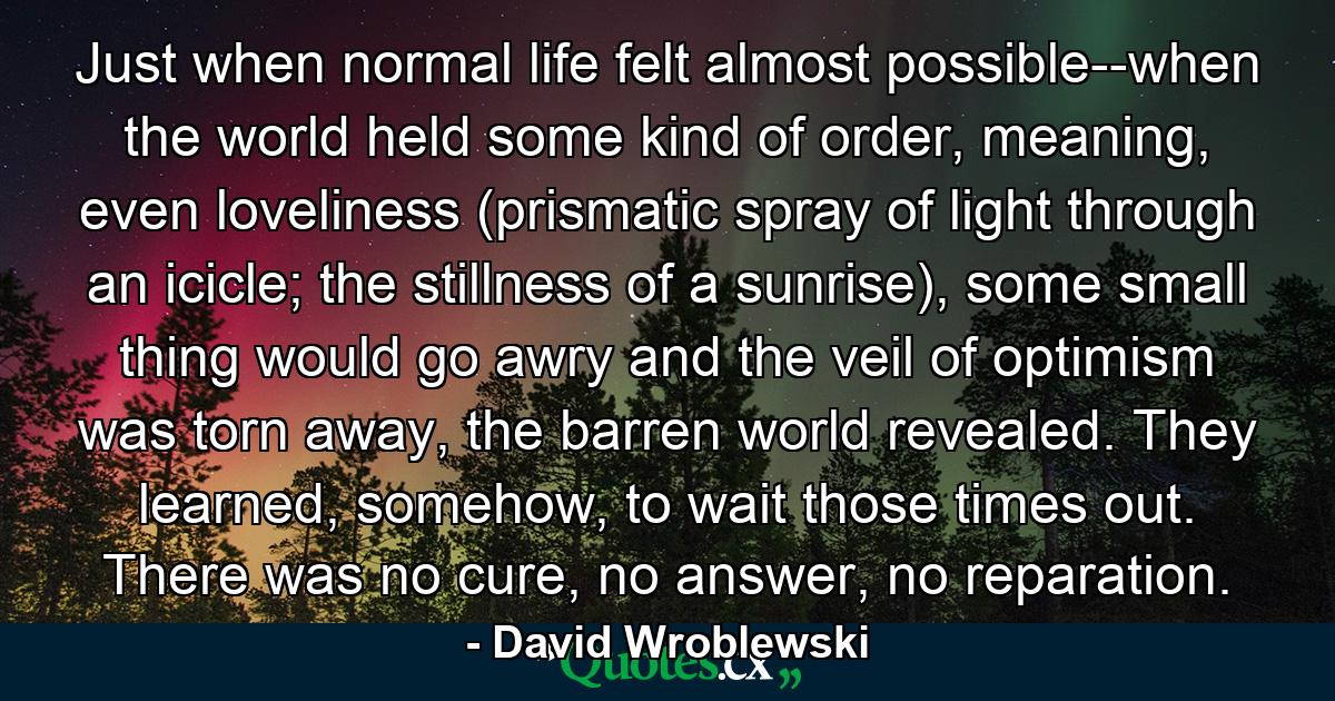 Just when normal life felt almost possible--when the world held some kind of order, meaning, even loveliness (prismatic spray of light through an icicle; the stillness of a sunrise), some small thing would go awry and the veil of optimism was torn away, the barren world revealed. They learned, somehow, to wait those times out. There was no cure, no answer, no reparation. - Quote by David Wroblewski
