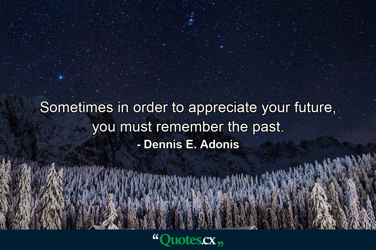 Sometimes in order to appreciate your future, you must remember the past. - Quote by Dennis E. Adonis