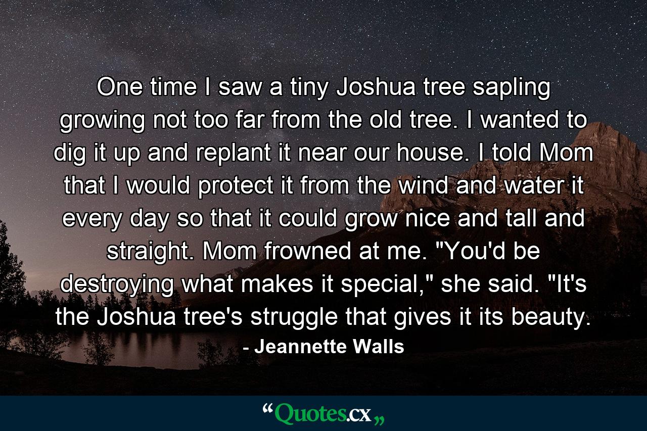 One time I saw a tiny Joshua tree sapling growing not too far from the old tree. I wanted to dig it up and replant it near our house. I told Mom that I would protect it from the wind and water it every day so that it could grow nice and tall and straight. Mom frowned at me. 