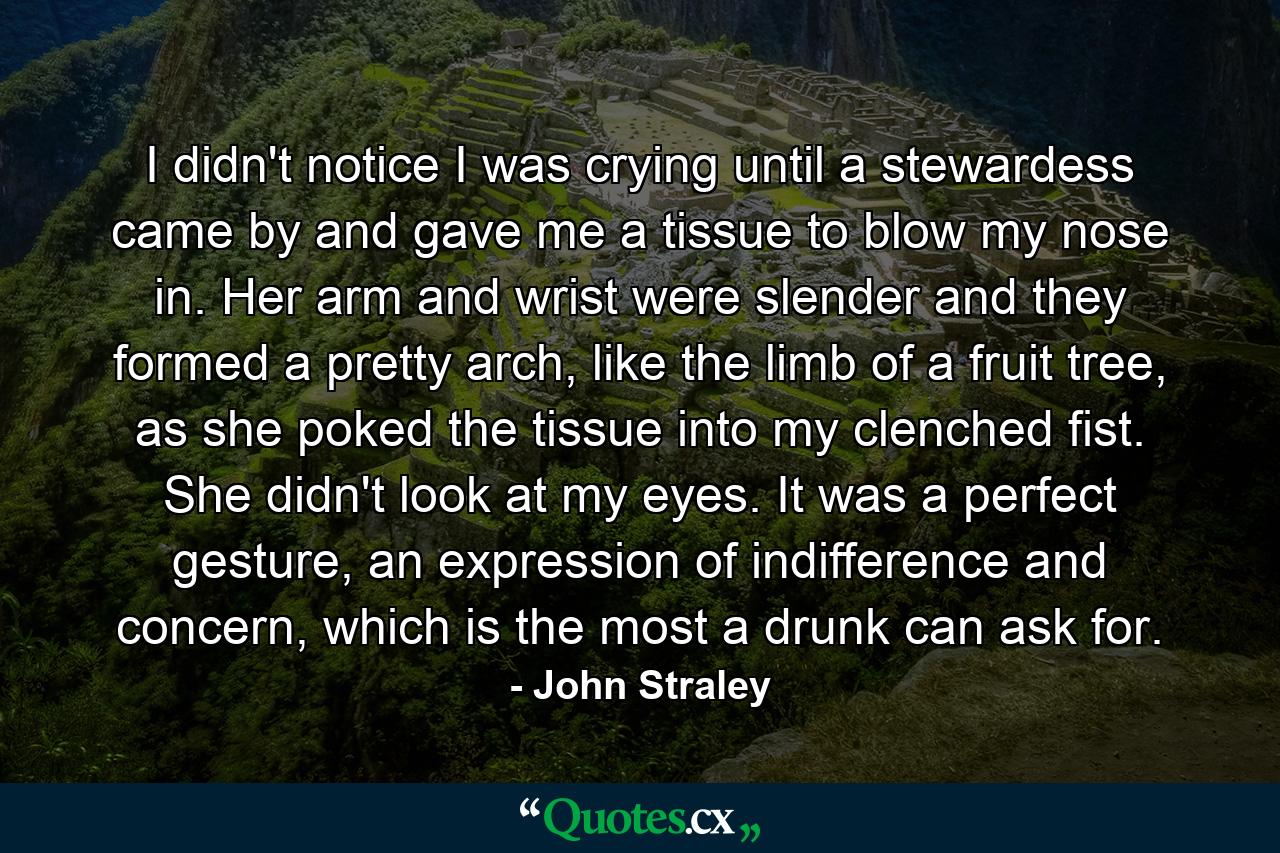 I didn't notice I was crying until a stewardess came by and gave me a tissue to blow my nose in. Her arm and wrist were slender and they formed a pretty arch, like the limb of a fruit tree, as she poked the tissue into my clenched fist. She didn't look at my eyes. It was a perfect gesture, an expression of indifference and concern, which is the most a drunk can ask for. - Quote by John Straley