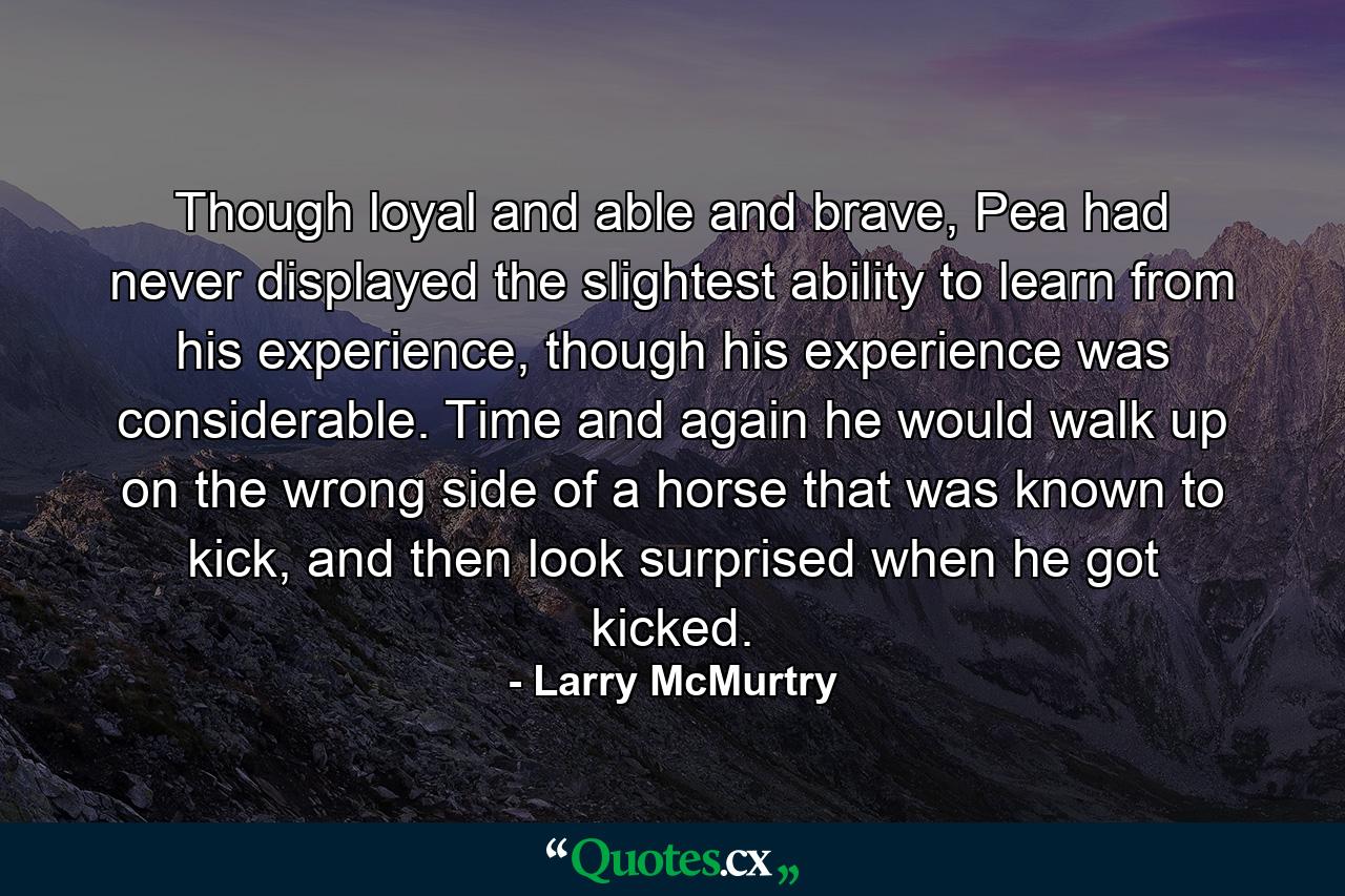 Though loyal and able and brave, Pea had never displayed the slightest ability to learn from his experience, though his experience was considerable. Time and again he would walk up on the wrong side of a horse that was known to kick, and then look surprised when he got kicked. - Quote by Larry McMurtry