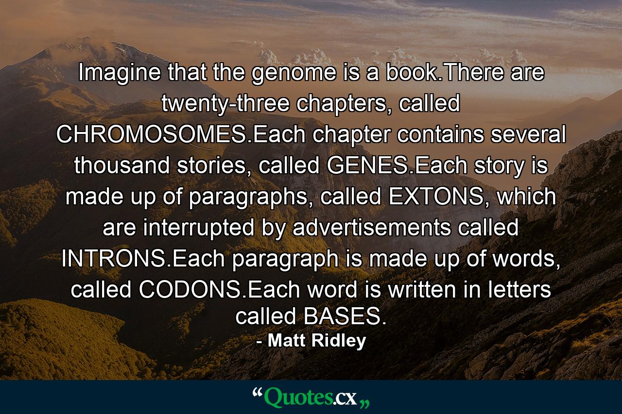 Imagine that the genome is a book.There are twenty-three chapters, called CHROMOSOMES.Each chapter contains several thousand stories, called GENES.Each story is made up of paragraphs, called EXTONS, which are interrupted by advertisements called INTRONS.Each paragraph is made up of words, called CODONS.Each word is written in letters called BASES. - Quote by Matt Ridley