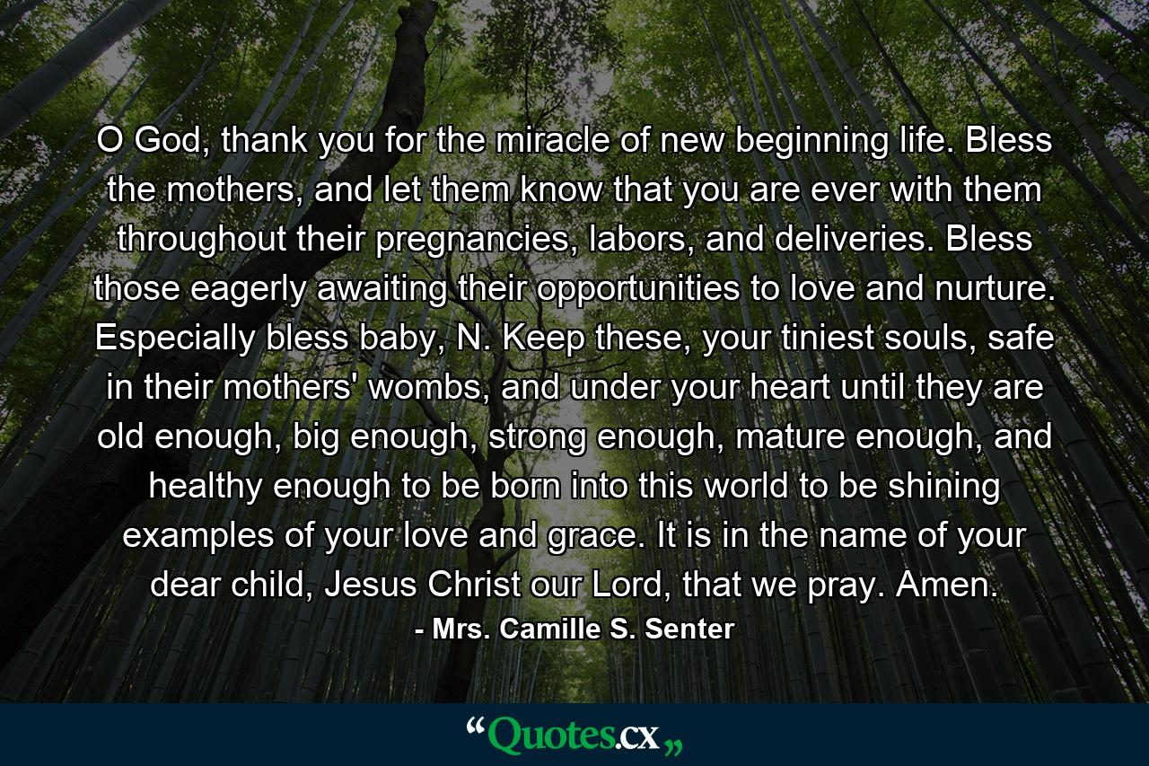 O God, thank you for the miracle of new beginning life. Bless the mothers, and let them know that you are ever with them throughout their pregnancies, labors, and deliveries. Bless those eagerly awaiting their opportunities to love and nurture. Especially bless baby, N. Keep these, your tiniest souls, safe in their mothers' wombs, and under your heart until they are old enough, big enough, strong enough, mature enough, and healthy enough to be born into this world to be shining examples of your love and grace. It is in the name of your dear child, Jesus Christ our Lord, that we pray. Amen. - Quote by Mrs. Camille S. Senter