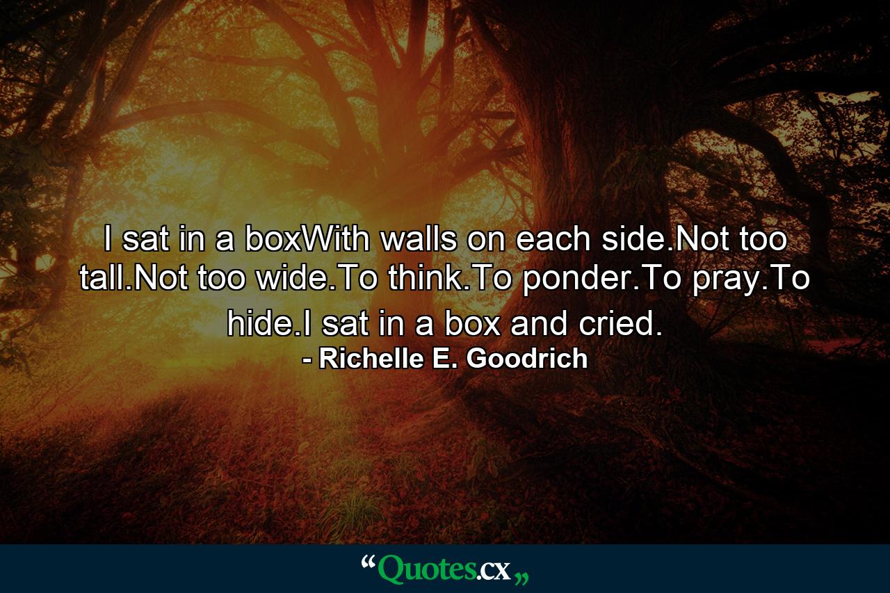 I sat in a boxWith walls on each side.Not too tall.Not too wide.To think.To ponder.To pray.To hide.I sat in a box and cried. - Quote by Richelle E. Goodrich