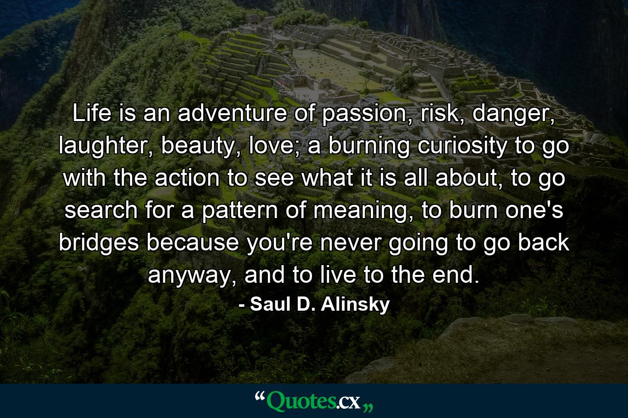 Life is an adventure of passion, risk, danger, laughter, beauty, love; a burning curiosity to go with the action to see what it is all about, to go search for a pattern of meaning, to burn one's bridges because you're never going to go back anyway, and to live to the end. - Quote by Saul D. Alinsky