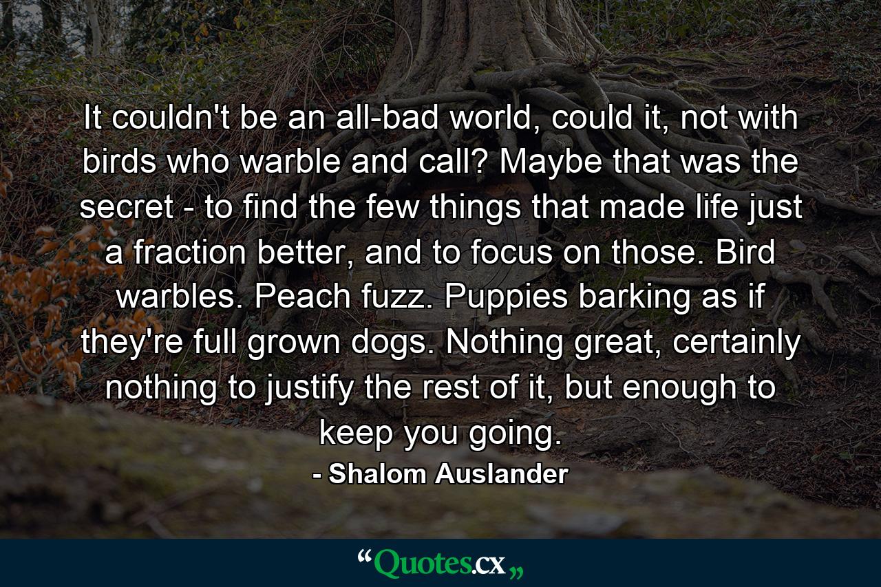 It couldn't be an all-bad world, could it, not with birds who warble and call? Maybe that was the secret - to find the few things that made life just a fraction better, and to focus on those. Bird warbles. Peach fuzz. Puppies barking as if they're full grown dogs. Nothing great, certainly nothing to justify the rest of it, but enough to keep you going. - Quote by Shalom Auslander