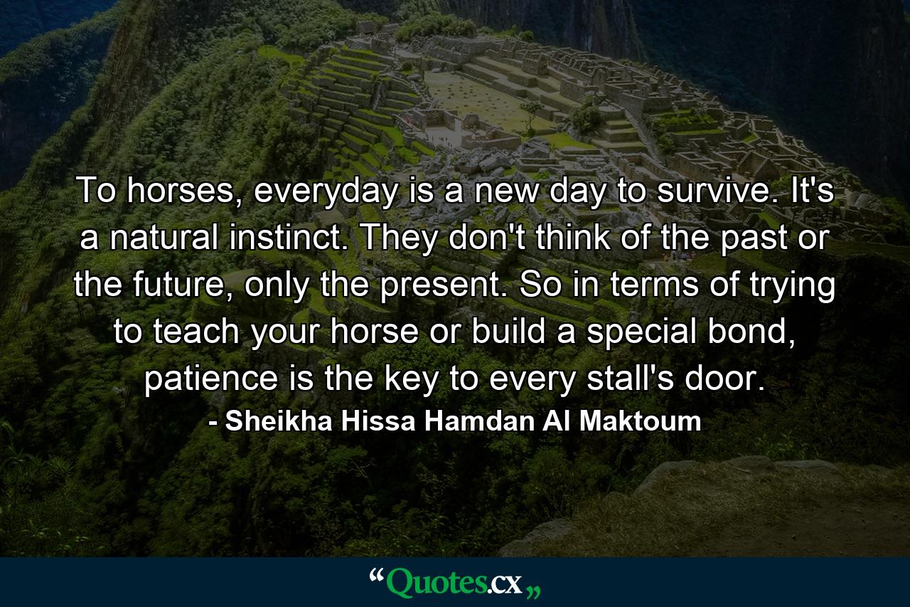 To horses, everyday is a new day to survive. It's a natural instinct. They don't think of the past or the future, only the present. So in terms of trying to teach your horse or build a special bond, patience is the key to every stall's door. - Quote by Sheikha Hissa Hamdan Al Maktoum