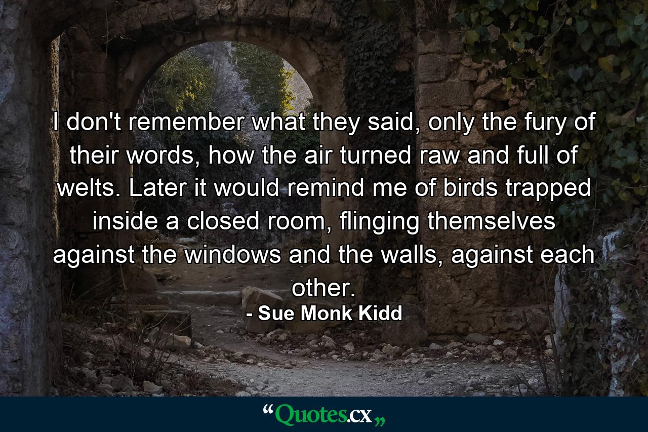 I don't remember what they said, only the fury of their words, how the air turned raw and full of welts. Later it would remind me of birds trapped inside a closed room, flinging themselves against the windows and the walls, against each other. - Quote by Sue Monk Kidd