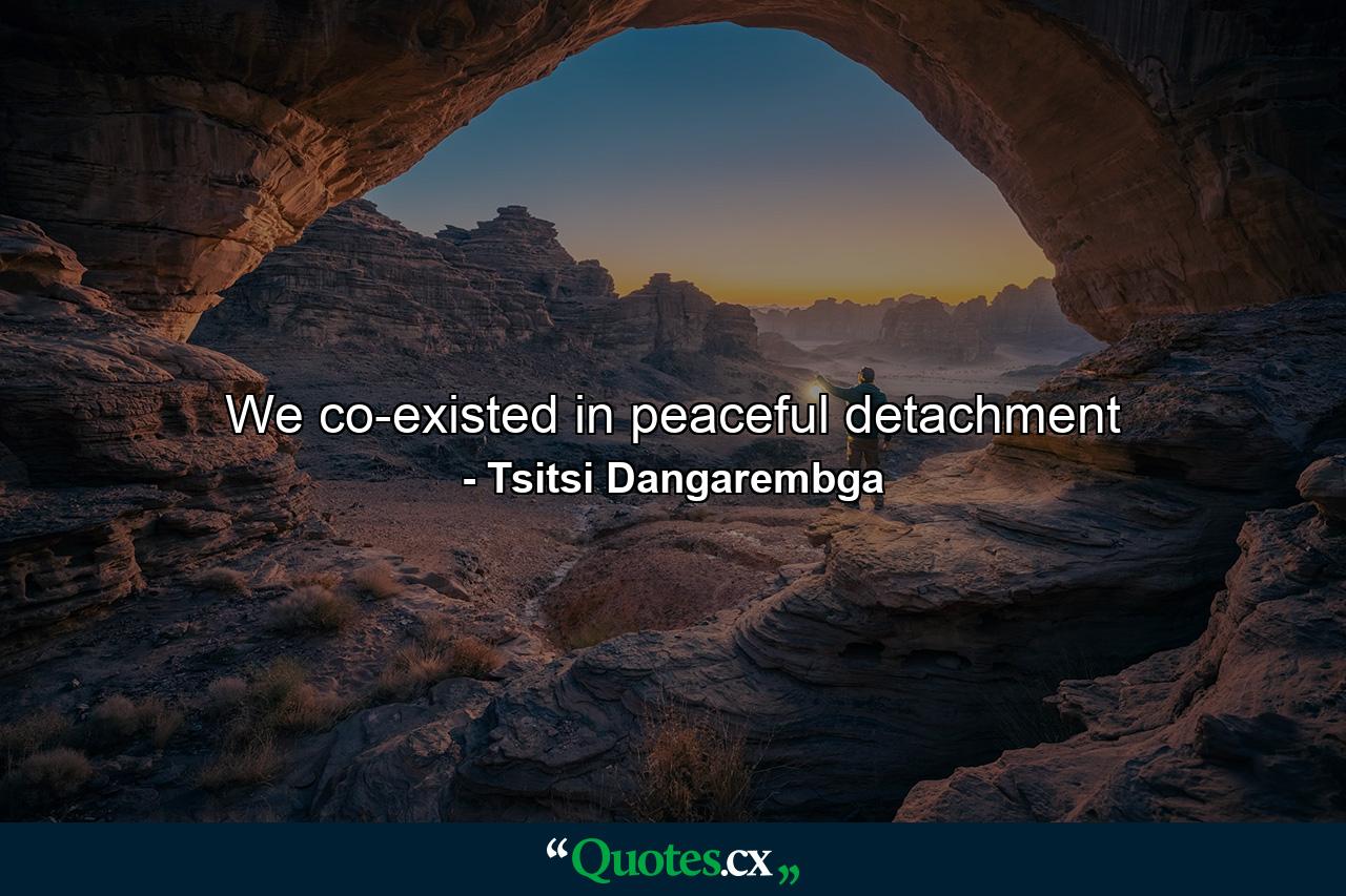 We co-existed in peaceful detachment - Quote by Tsitsi Dangarembga