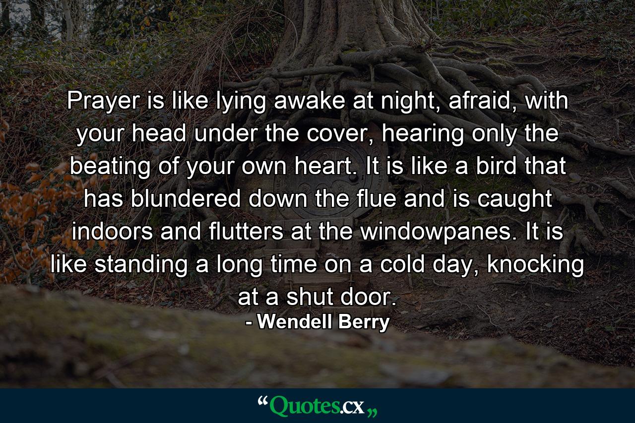 Prayer is like lying awake at night, afraid, with your head under the cover, hearing only the beating of your own heart. It is like a bird that has blundered down the flue and is caught indoors and flutters at the windowpanes. It is like standing a long time on a cold day, knocking at a shut door. - Quote by Wendell Berry