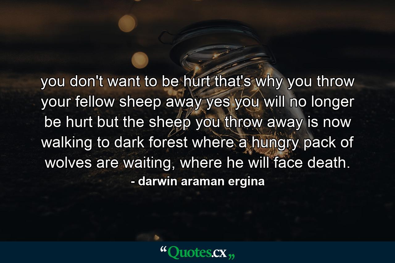 you don't want to be hurt that's why you throw your fellow sheep away yes you will no longer be hurt but the sheep you throw away is now walking to dark forest where a hungry pack of wolves are waiting, where he will face death. - Quote by darwin araman ergina