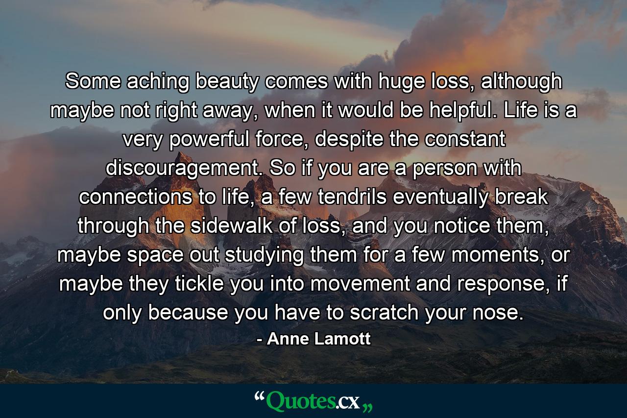 Some aching beauty comes with huge loss, although maybe not right away, when it would be helpful. Life is a very powerful force, despite the constant discouragement. So if you are a person with connections to life, a few tendrils eventually break through the sidewalk of loss, and you notice them, maybe space out studying them for a few moments, or maybe they tickle you into movement and response, if only because you have to scratch your nose. - Quote by Anne Lamott