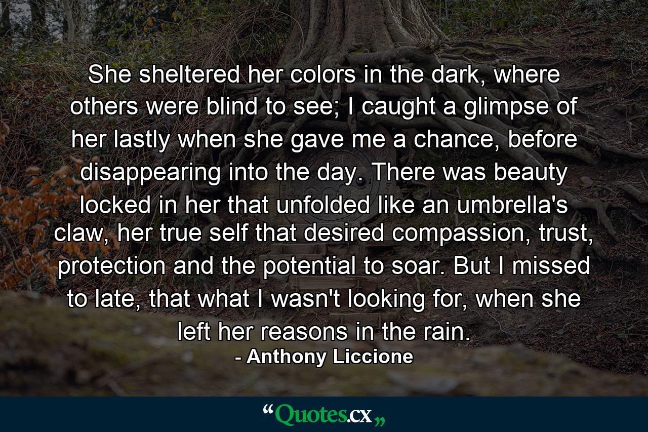 She sheltered her colors in the dark, where others were blind to see; I caught a glimpse of her lastly when she gave me a chance, before disappearing into the day. There was beauty locked in her that unfolded like an umbrella's claw, her true self that desired compassion, trust, protection and the potential to soar. But I missed to late, that what I wasn't looking for, when she left her reasons in the rain. - Quote by Anthony Liccione