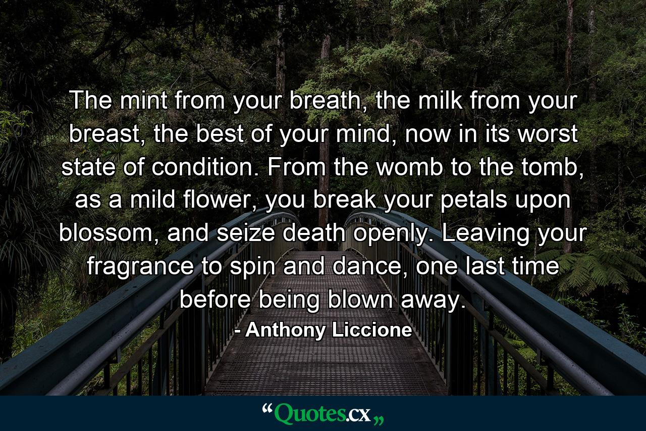 The mint from your breath, the milk from your breast, the best of your mind, now in its worst state of condition. From the womb to the tomb, as a mild flower, you break your petals upon blossom, and seize death openly. Leaving your fragrance to spin and dance, one last time before being blown away. - Quote by Anthony Liccione