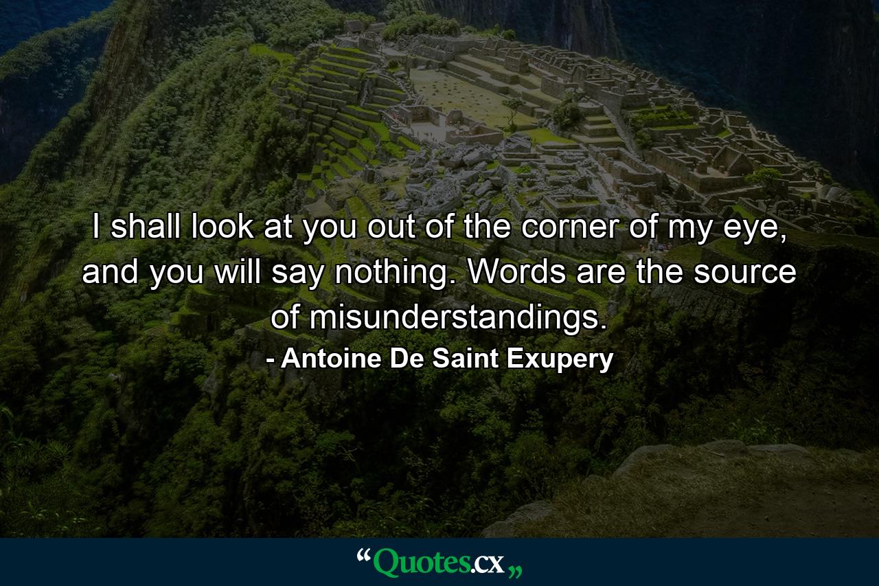 I shall look at you out of the corner of my eye, and you will say nothing. Words are the source of misunderstandings. - Quote by Antoine De Saint Exupery