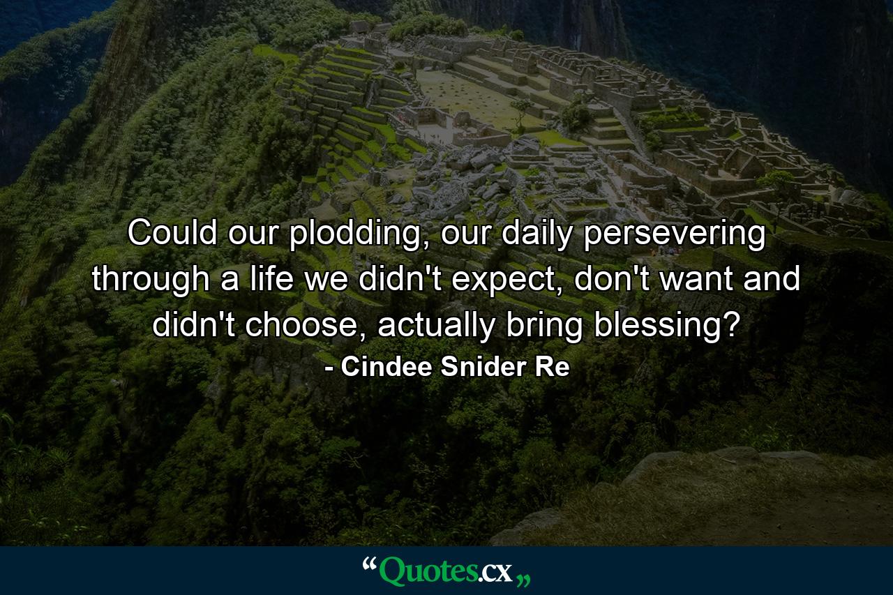 Could our plodding, our daily persevering through a life we didn't expect, don't want and didn't choose, actually bring blessing? - Quote by Cindee Snider Re