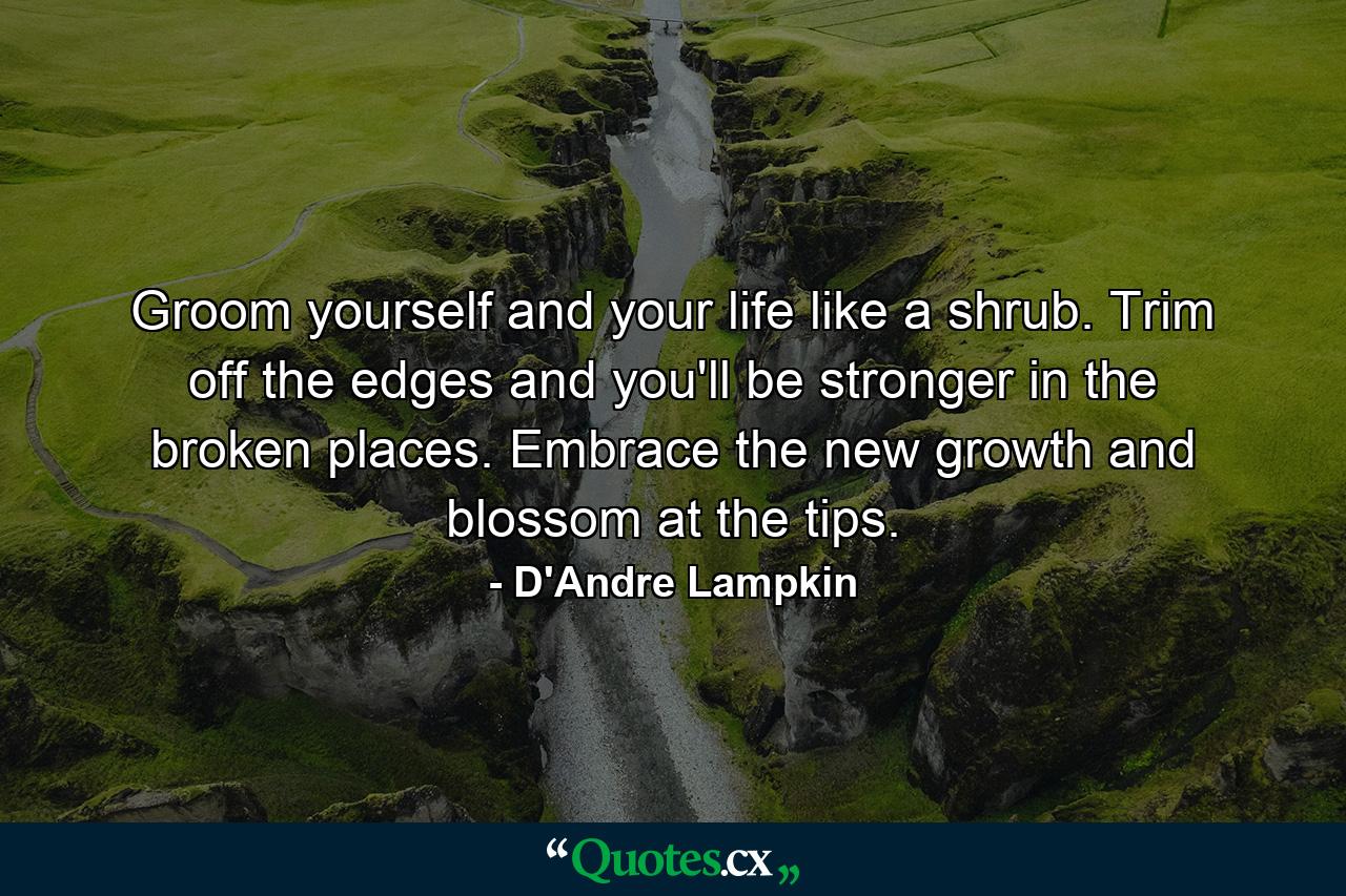 Groom yourself and your life like a shrub. Trim off the edges and you'll be stronger in the broken places. Embrace the new growth and blossom at the tips. - Quote by D'Andre Lampkin