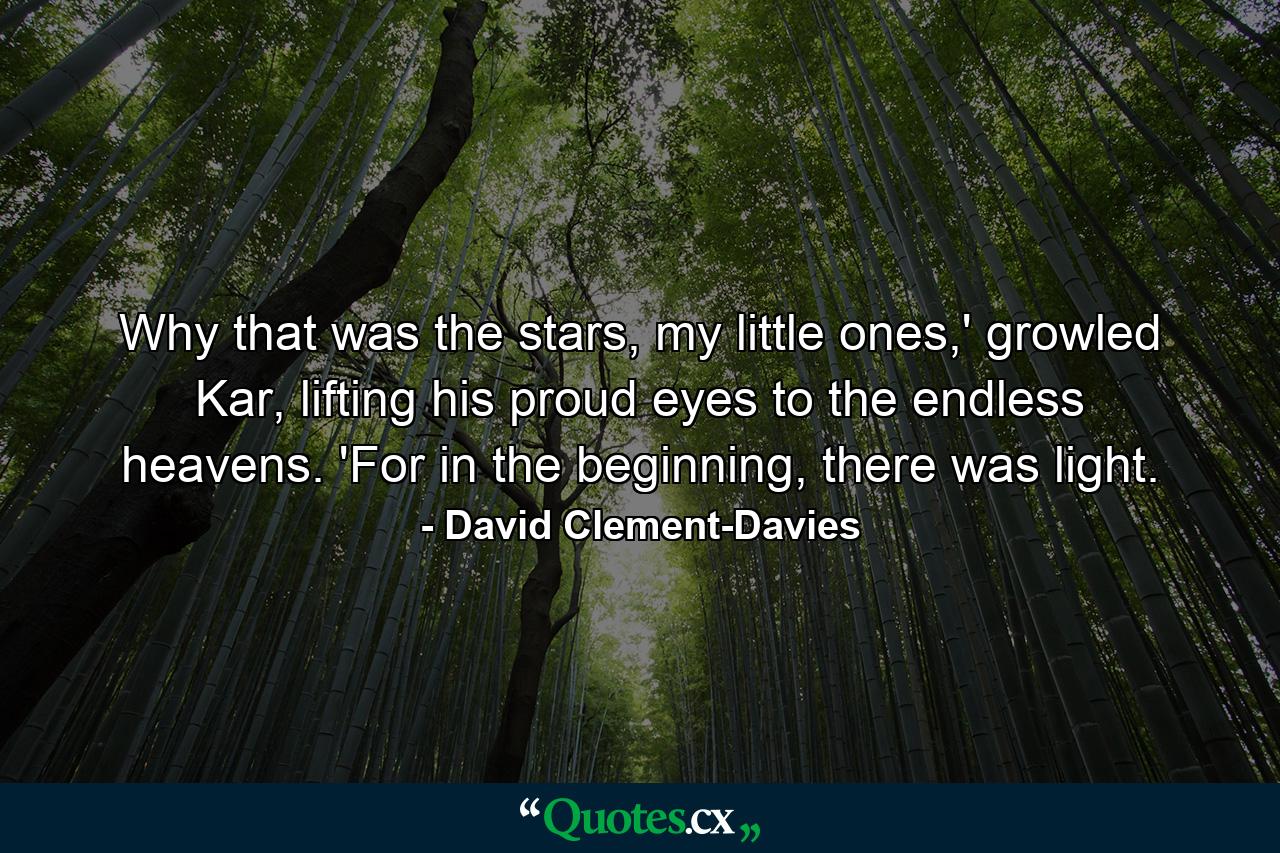 Why that was the stars, my little ones,' growled Kar, lifting his proud eyes to the endless heavens. 'For in the beginning, there was light. - Quote by David Clement-Davies