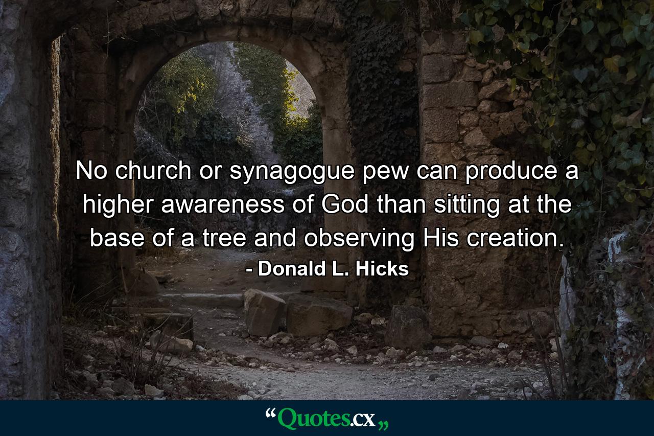 No church or synagogue pew can produce a higher awareness of God than sitting at the base of a tree and observing His creation. - Quote by Donald L. Hicks