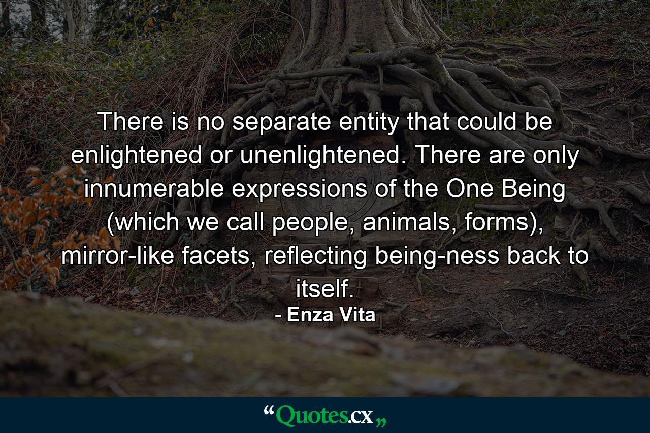 There is no separate entity that could be enlightened or unenlightened. There are only innumerable expressions of the One Being (which we call people, animals, forms), mirror-like facets, reflecting being-ness back to itself. - Quote by Enza Vita