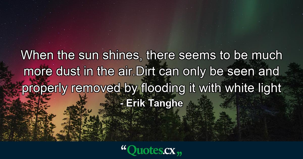 When the sun shines, there seems to be much more dust in the air.Dirt can only be seen and properly removed by flooding it with white light - Quote by Erik Tanghe