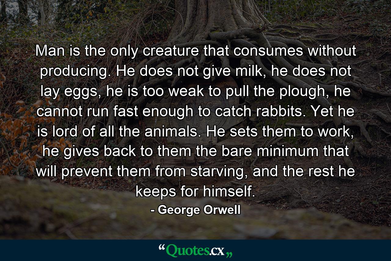 Man is the only creature that consumes without producing. He does not give milk, he does not lay eggs, he is too weak to pull the plough, he cannot run fast enough to catch rabbits. Yet he is lord of all the animals. He sets them to work, he gives back to them the bare minimum that will prevent them from starving, and the rest he keeps for himself. - Quote by George Orwell