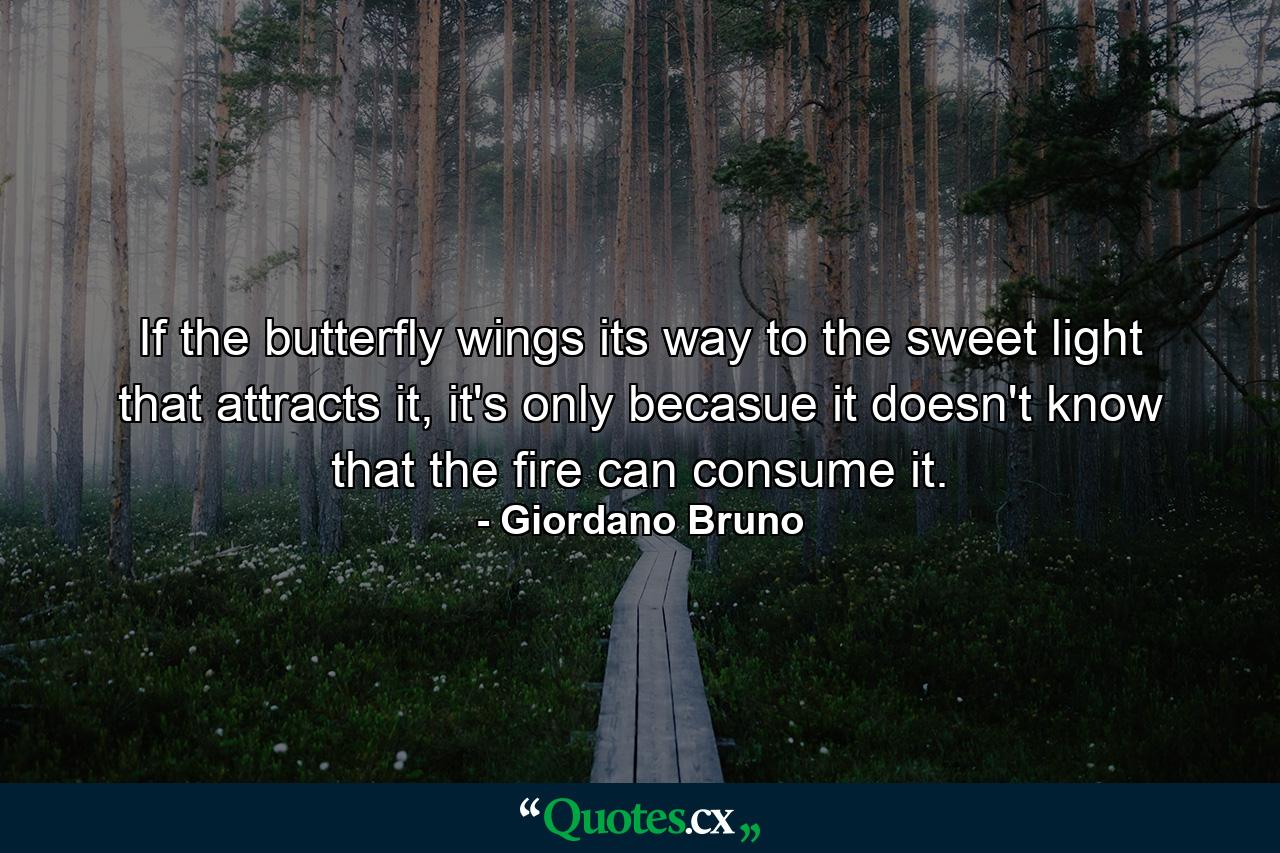 If the butterfly wings its way to the sweet light that attracts it, it's only becasue it doesn't know that the fire can consume it. - Quote by Giordano Bruno