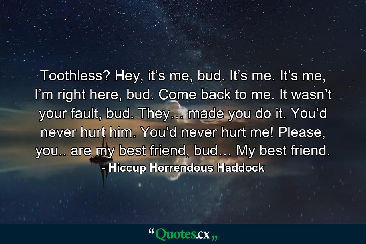 Toothless? Hey, it’s me, bud. It’s me. It’s me, I’m right here, bud. Come back to me. It wasn’t your fault, bud. They… made you do it. You’d never hurt him. You’d never hurt me! Please, you.. are my best friend, bud… My best friend. - Quote by Hiccup Horrendous Haddock