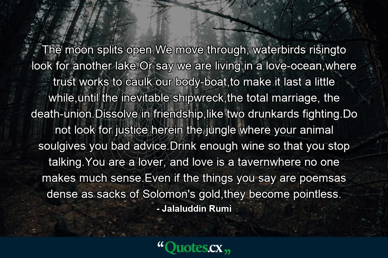 The moon splits open.We move through, waterbirds risingto look for another lake.Or say we are living in a love-ocean,where trust works to caulk our body-boat,to make it last a little while,until the inevitable shipwreck,the total marriage, the death-union.Dissolve in friendship,like two drunkards fighting.Do not look for justice herein the jungle where your animal soulgives you bad advice.Drink enough wine so that you stop talking.You are a lover, and love is a tavernwhere no one makes much sense.Even if the things you say are poemsas dense as sacks of Solomon's gold,they become pointless. - Quote by Jalaluddin Rumi