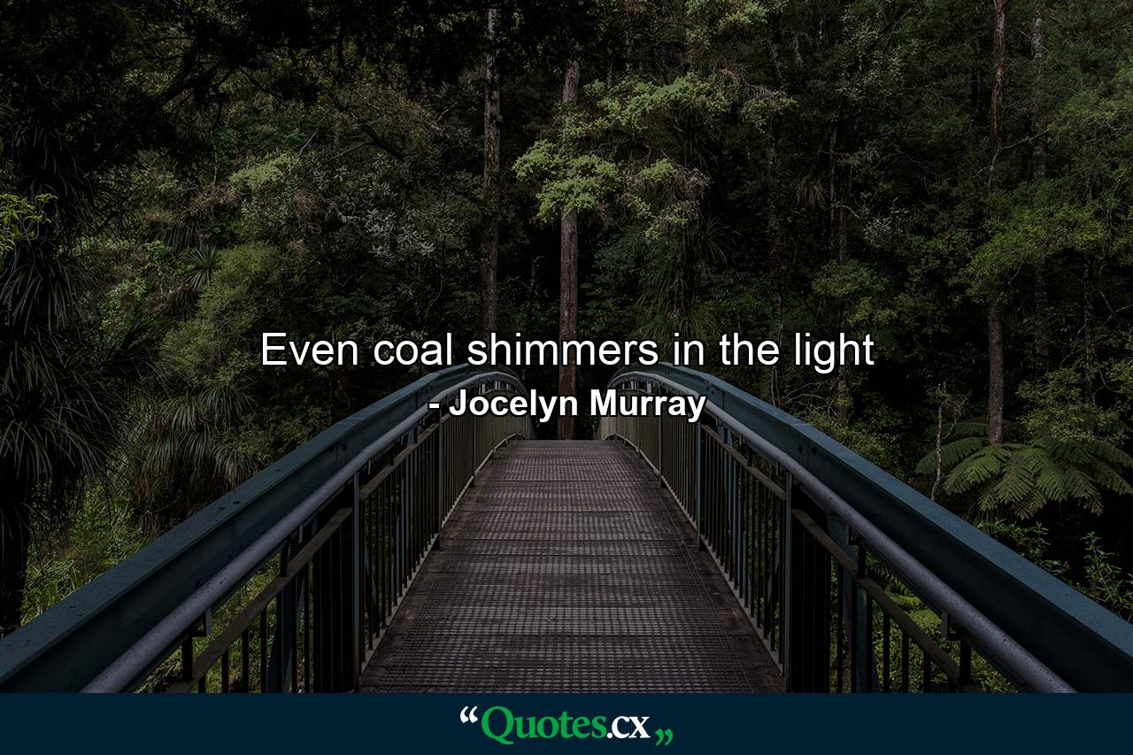 Even coal shimmers in the light - Quote by Jocelyn Murray