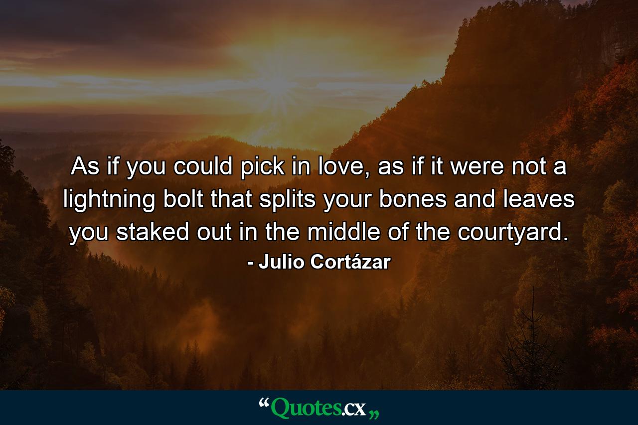 As if you could pick in love, as if it were not a lightning bolt that splits your bones and leaves you staked out in the middle of the courtyard. - Quote by Julio Cortázar