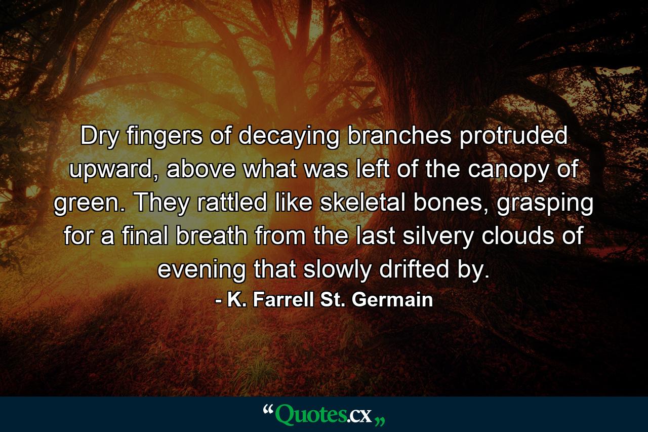 Dry fingers of decaying branches protruded upward, above what was left of the canopy of green. They rattled like skeletal bones, grasping for a final breath from the last silvery clouds of evening that slowly drifted by. - Quote by K. Farrell St. Germain