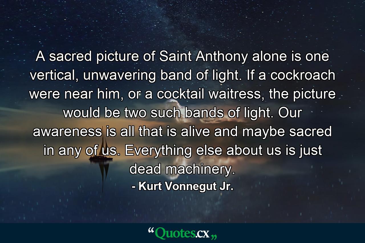 A sacred picture of Saint Anthony alone is one vertical, unwavering band of light. If a cockroach were near him, or a cocktail waitress, the picture would be two such bands of light. Our awareness is all that is alive and maybe sacred in any of us. Everything else about us is just dead machinery. - Quote by Kurt Vonnegut Jr.