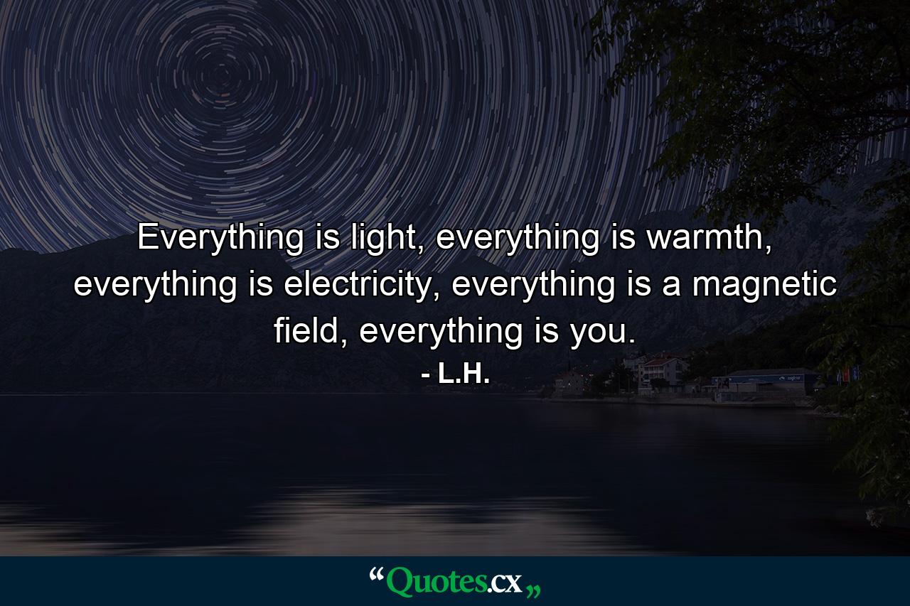 Everything is light, everything is warmth, everything is electricity, everything is a magnetic field, everything is you. - Quote by L.H.