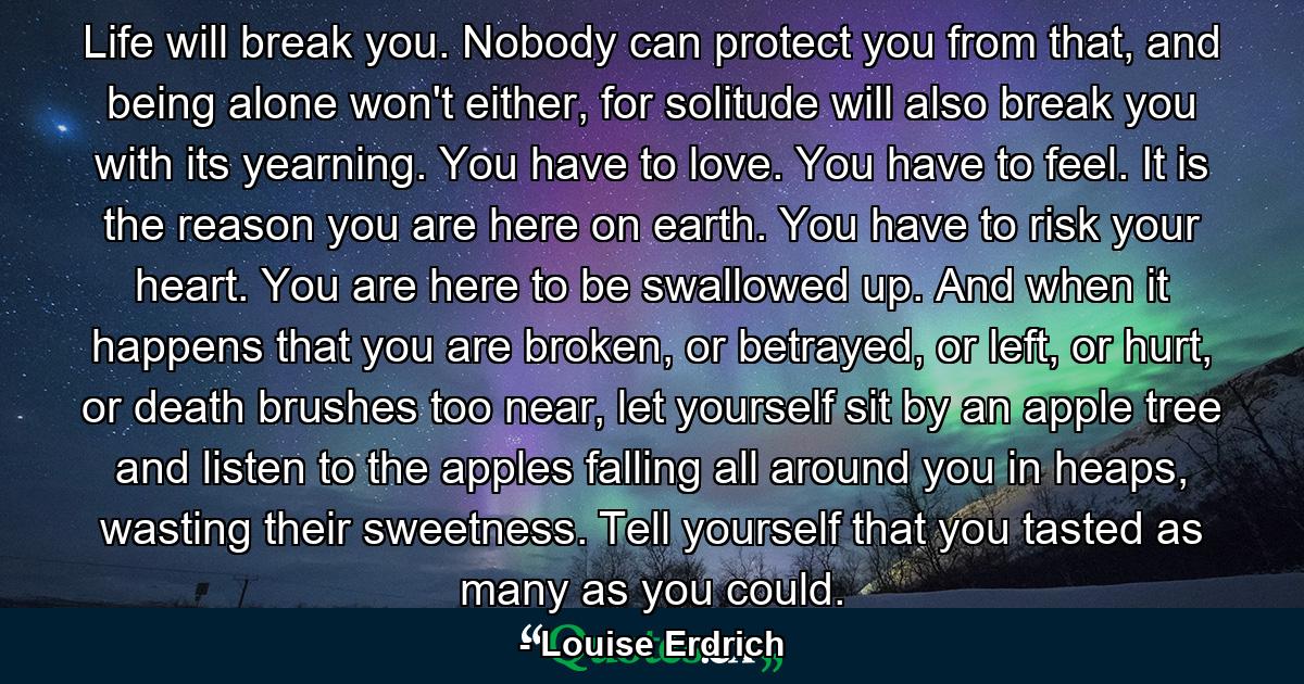 Life will break you. Nobody can protect you from that, and being alone won't either, for solitude will also break you with its yearning. You have to love. You have to feel. It is the reason you are here on earth. You have to risk your heart. You are here to be swallowed up. And when it happens that you are broken, or betrayed, or left, or hurt, or death brushes too near, let yourself sit by an apple tree and listen to the apples falling all around you in heaps, wasting their sweetness. Tell yourself that you tasted as many as you could. - Quote by Louise Erdrich